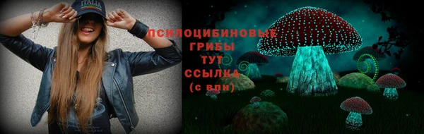 гидропоника Алексеевка