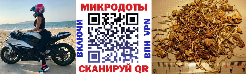 наркотики  Нефтекамск  Псилоцибиновые грибы Psilocybe 